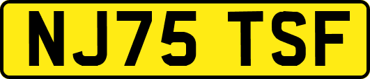 NJ75TSF