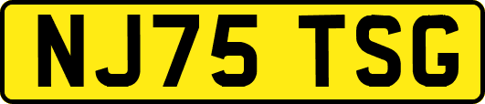 NJ75TSG