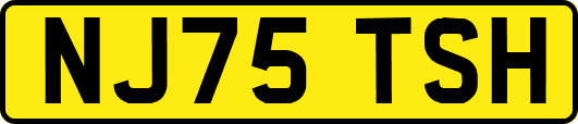 NJ75TSH