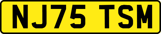 NJ75TSM