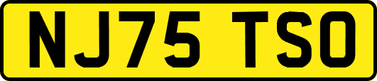 NJ75TSO