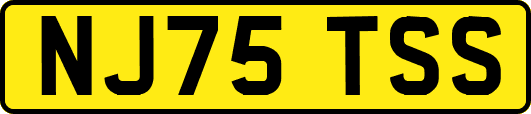 NJ75TSS