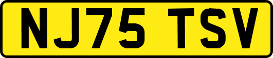NJ75TSV