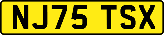 NJ75TSX