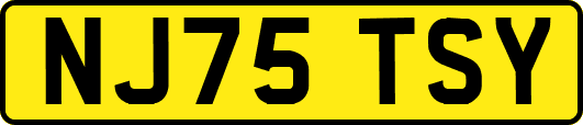 NJ75TSY