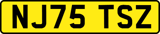 NJ75TSZ