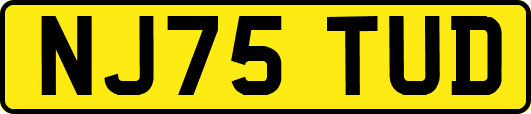 NJ75TUD