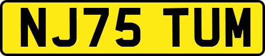 NJ75TUM