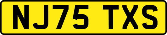 NJ75TXS