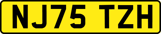 NJ75TZH