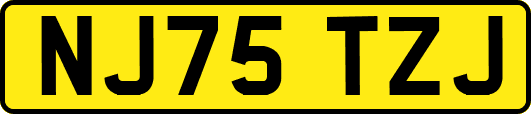 NJ75TZJ