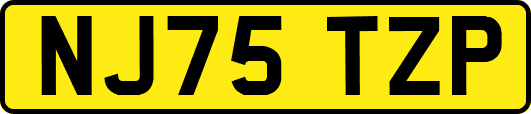 NJ75TZP