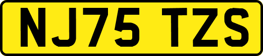 NJ75TZS