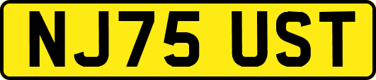 NJ75UST