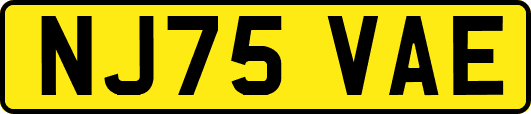 NJ75VAE