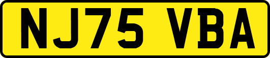 NJ75VBA