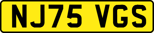NJ75VGS