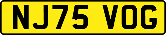 NJ75VOG