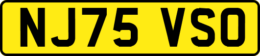 NJ75VSO
