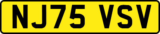 NJ75VSV