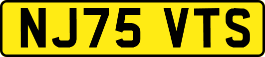 NJ75VTS