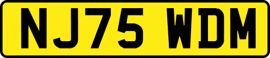 NJ75WDM