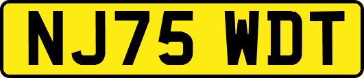 NJ75WDT