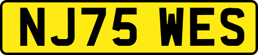 NJ75WES