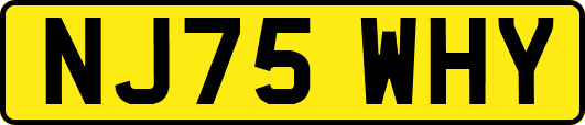 NJ75WHY