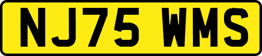 NJ75WMS