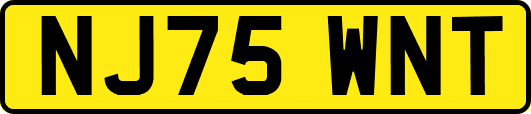 NJ75WNT