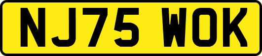 NJ75WOK