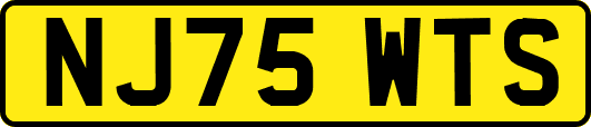 NJ75WTS
