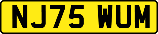 NJ75WUM