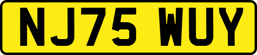 NJ75WUY