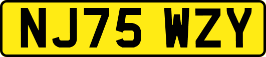 NJ75WZY