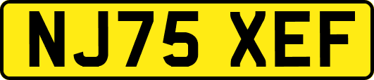NJ75XEF