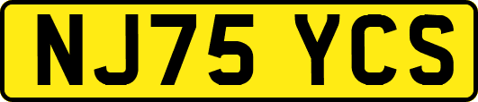 NJ75YCS