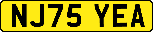 NJ75YEA