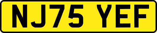 NJ75YEF