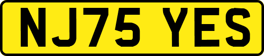NJ75YES
