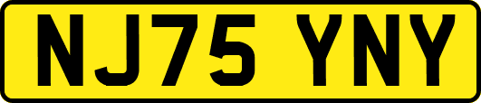 NJ75YNY