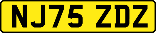 NJ75ZDZ