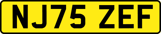 NJ75ZEF