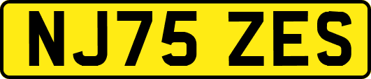 NJ75ZES