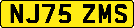 NJ75ZMS