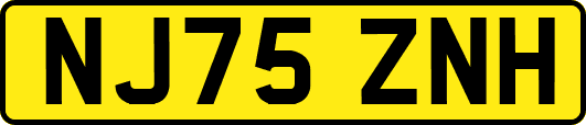 NJ75ZNH