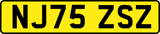 NJ75ZSZ