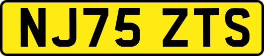 NJ75ZTS