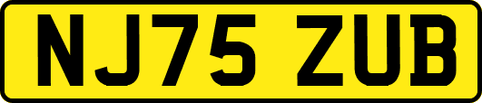 NJ75ZUB